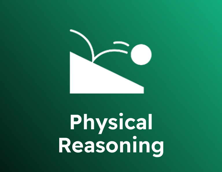 Physical Reasoning