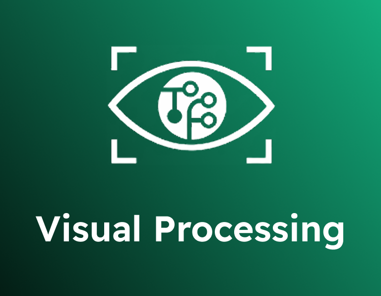 Visual Processing